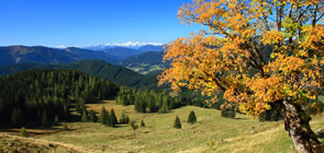 Bergpanorama