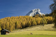 Wanderparadies Filzmoos